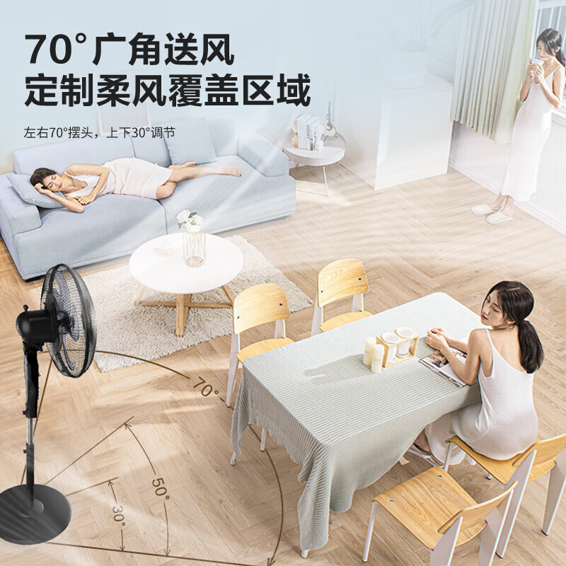 艾美特(AIRMATE)五叶家用电风扇大风量机械立式落地扇轻音节能柔风定时电扇宿舍降温风扇 FSW65T2-5高清大图