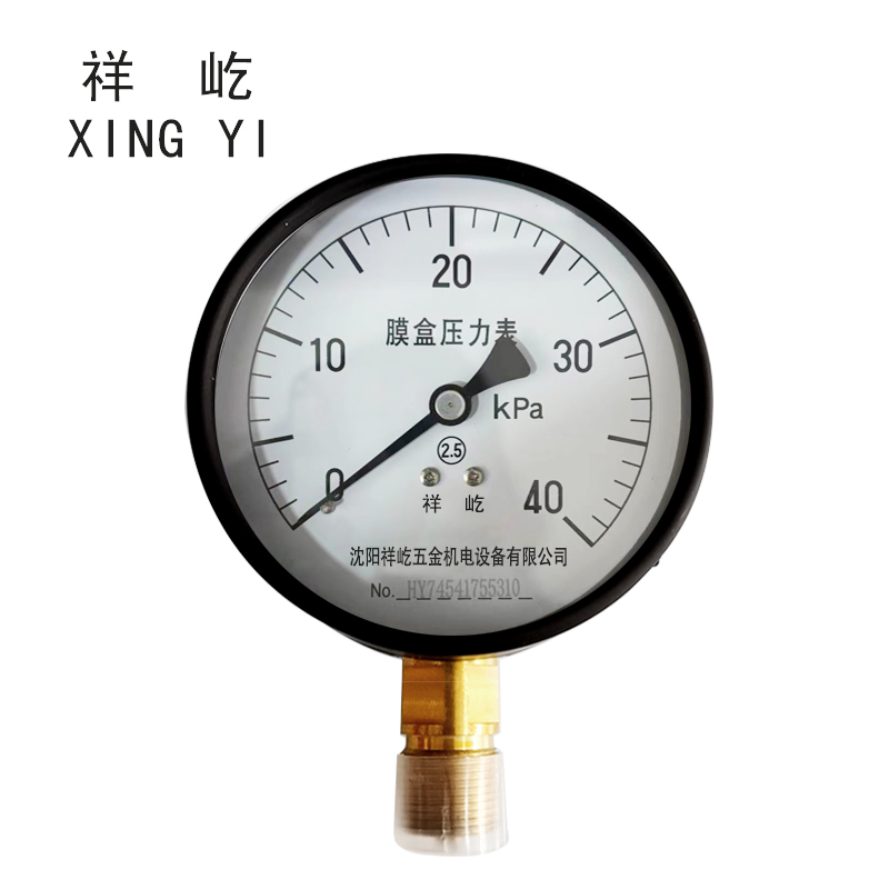 祥屹+膜盒压力表检测定制型+YE100+块 0-40Kpa