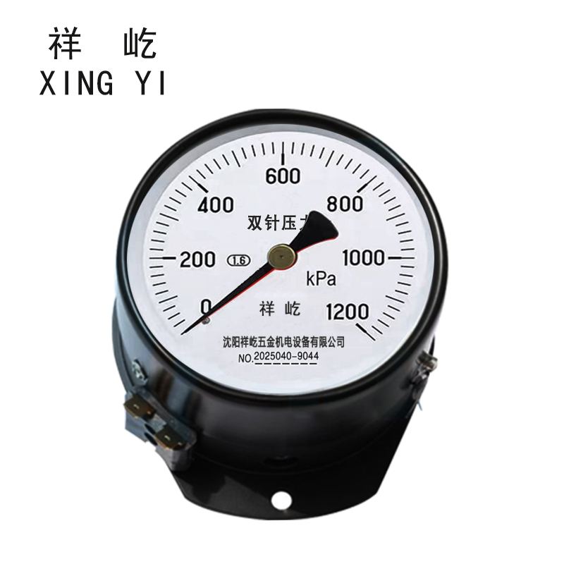 祥屹 双针双管压力表 YYS-JY-100Z 24V轴向 台 0-1200Kpa
