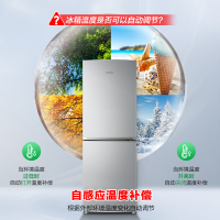 容声(Ronshen)170升两门双门家用小型冰箱节能保鲜低噪冷藏公寓租房宿舍小巧不占地家用电冰箱BCD-170D11D