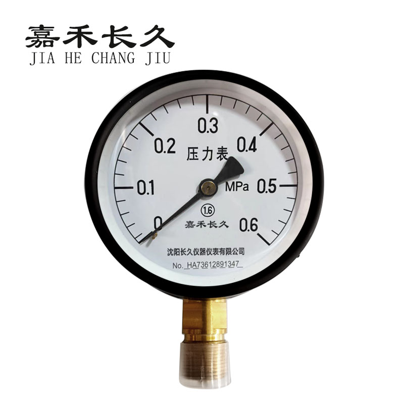 嘉禾长久+压力表检测定制型+Y100+块 0-0.6Mpa