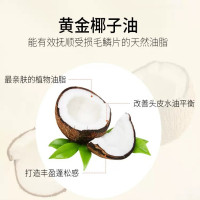 绿色溪谷无硅油洗发水控油去屑清爽澳洲进口椰油香氛 500ml 1瓶