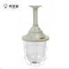 亮思能 LED防爆灯 隔爆型照明灯 200型+20W球泡 LSN-1370/个