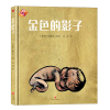 音像金色的影子/绘本里的世界[西班牙]塔西亚/著绘