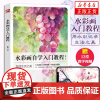 水彩画自学入门教程 乐敏著 0基础水彩画入门教程 水彩入门基础教程书籍 用水彩记录生活之美 水彩教学教程书籍