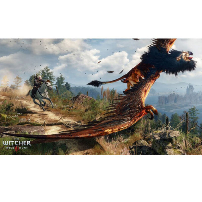 索尼(SONY) PlayStation 4/5游戏光盘 PS4 巫师3 年度版 中文字幕高清大图