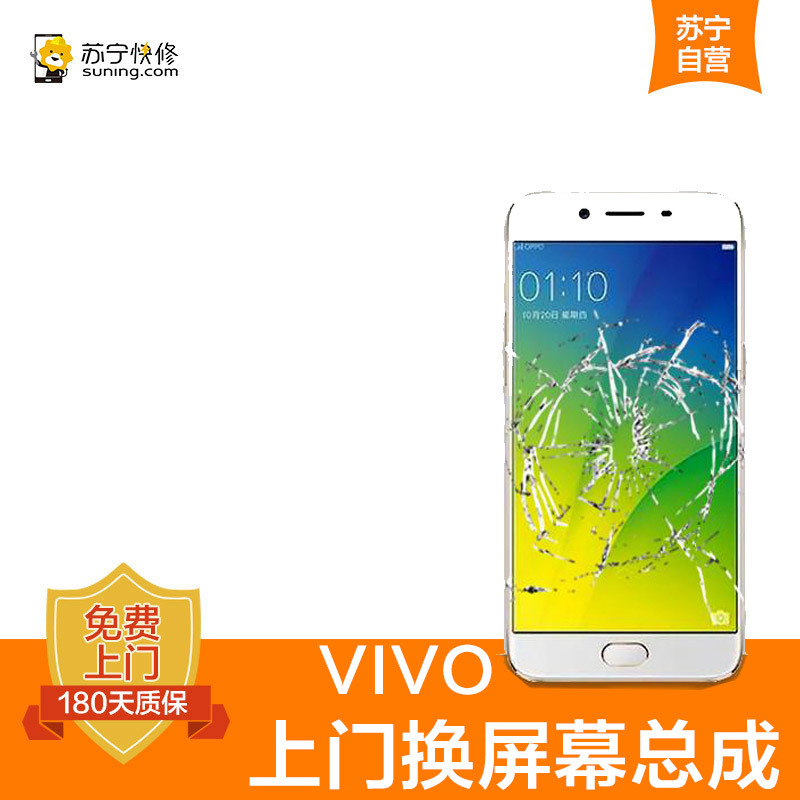 VIVOX20手机更换屏幕总成(内屏碎、显示异常、触摸不灵敏)[上门维修 非原厂物料]