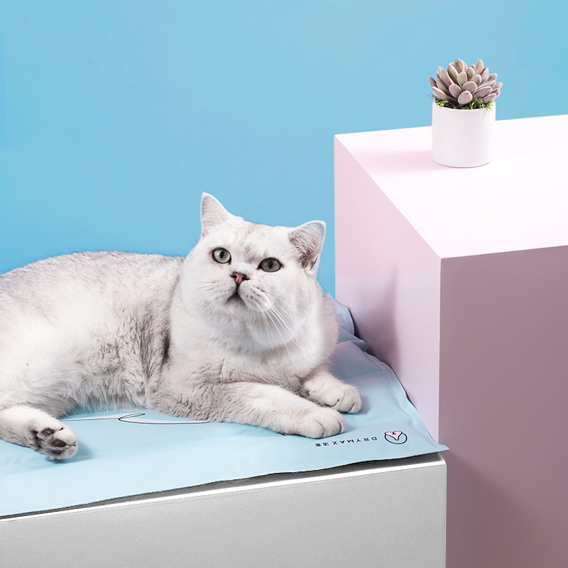 洁客(Drymax)宠物用品猫狗通用冰垫中号
