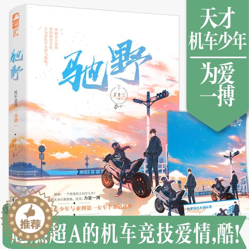 [醉染正版]正版 驰野 丁十三著已完结 大鱼青春文学 现代都市言情小说 赛道竞技爱情高甜宠文 机车少年女车手图片