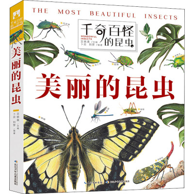 千奇百怪的昆虫 美丽的昆虫 王轶美主编 著 摘要书评在线阅读 苏宁易购图书