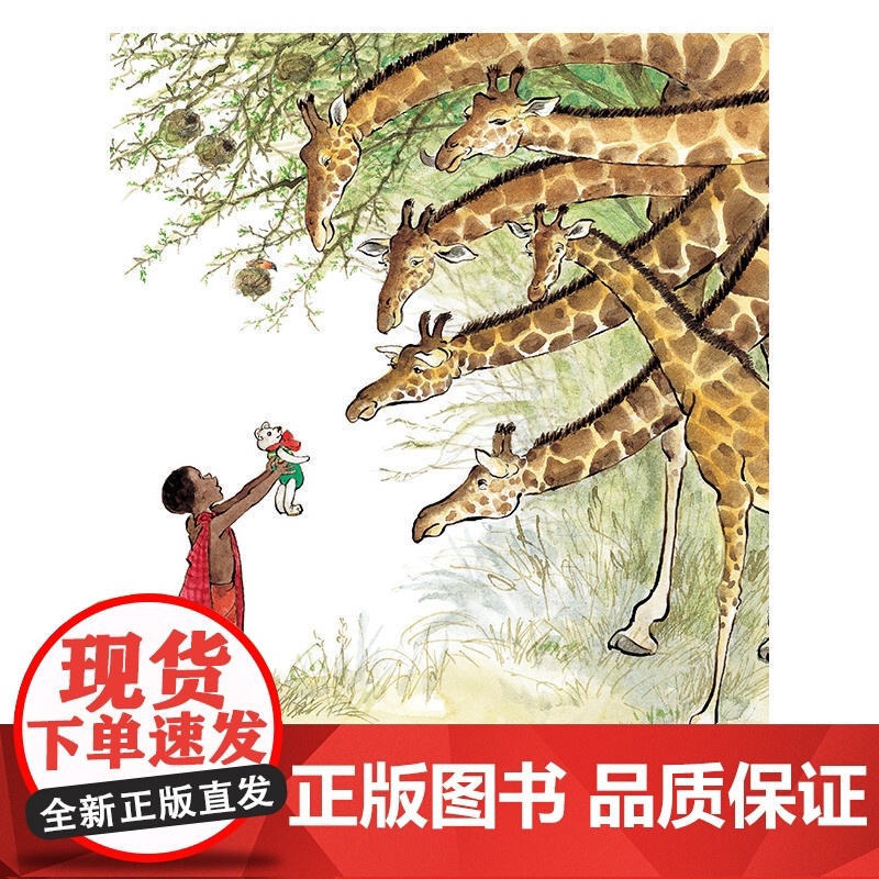 非洲有没有小熊高清大图