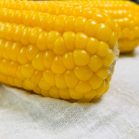 亿米多 东北黄糯玉米8棒新鲜粘黏甜真空袋装非转基因即食减肥餐