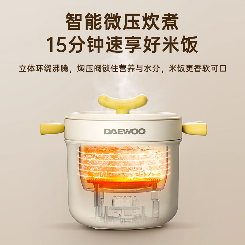 大宇(DAEWOO)大宇电饭煲电饭锅迷你家用微压煲蒸煮饭锅多功能小巧机身电饭煲1.6L标配款DY-WYB01月光白高清大图