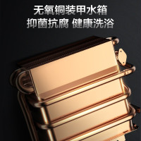 万家乐(Macro)13升零冷水燃气热水器 家用水气双调即开即热 智能防冻热水速达 天然气 JSQ26-13R9