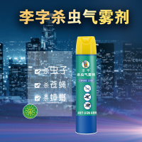 李字600ml杀虫气雾剂(无香纯净型)杀蚊子 杀蟑螂 杀蚂蚁 杀虫喷雾