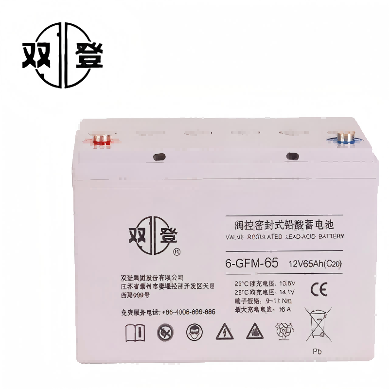 双登阀控密封式铅酸蓄电池6-GFM-65高清大图