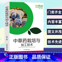 【正版】中草药栽培与加工技术农业种植系列读物地理分布根和根茎类花类果实种子类树皮及根皮类全草类真菌类产地加工栽培方读技栽