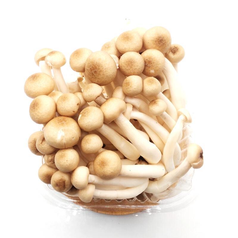 农聚源菌菇类 蟹味菇150g/盒 新鲜蔬菜 菌类时鲜菌 蘑菇 日天 生鲜可