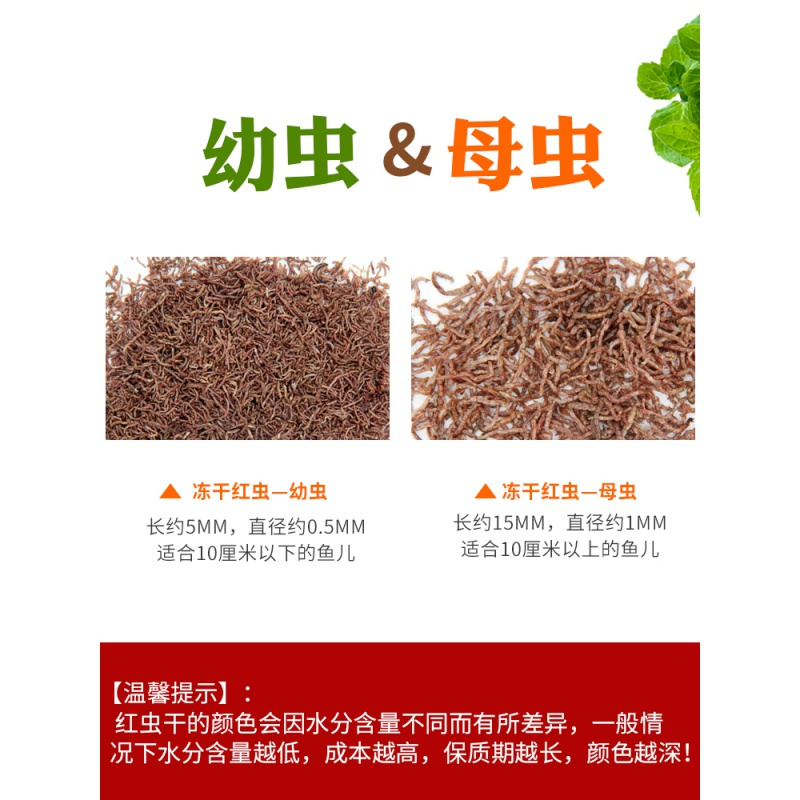 热带鱼鱼食冻干红虫干孔雀鱼饲料灯科鱼斗鱼金鱼鱼粮观赏鱼小型鱼饲料高清大图
