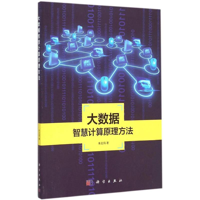 音像大数据智慧计算原理方法朱定局 著