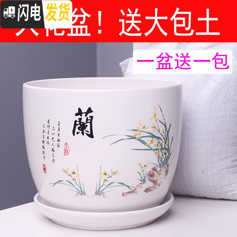 三维工匠特大号花盆陶瓷简约吊兰创意绿萝家用阳台多肉花盆带托盘 303红梅特大号+土 特大花盆容器高清大图