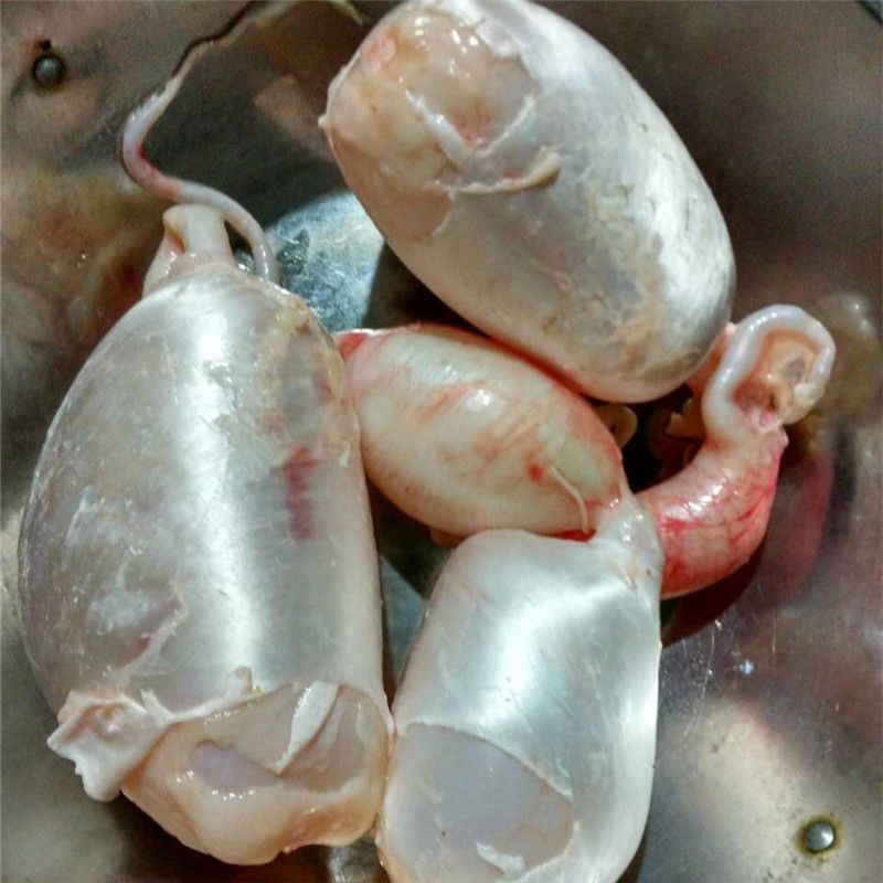 500g新鲜鱼泡鲤鱼鲢鱼草鱼杂鱼卵鱼籽鱼泡泡膘鱼肚膘胶活鱼现杀野生大鲤鱼新鲜鱼杂【鱼白鱼泡鱼籽】搭配套餐加冰块