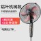 志高电风扇落地扇家用立式台式小电扇宿舍摇头工业强力大风力旗舰款大风力网红同款家用宿舍 黑+银(机械铝叶)
