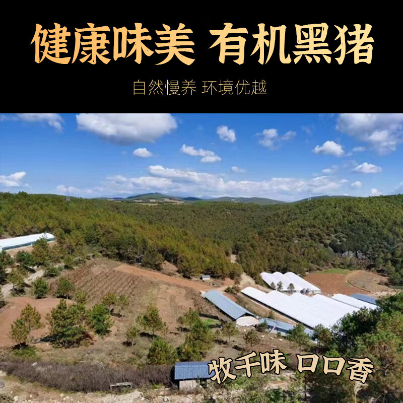 牧千味 有机黑猪肉 纯然298型高清大图