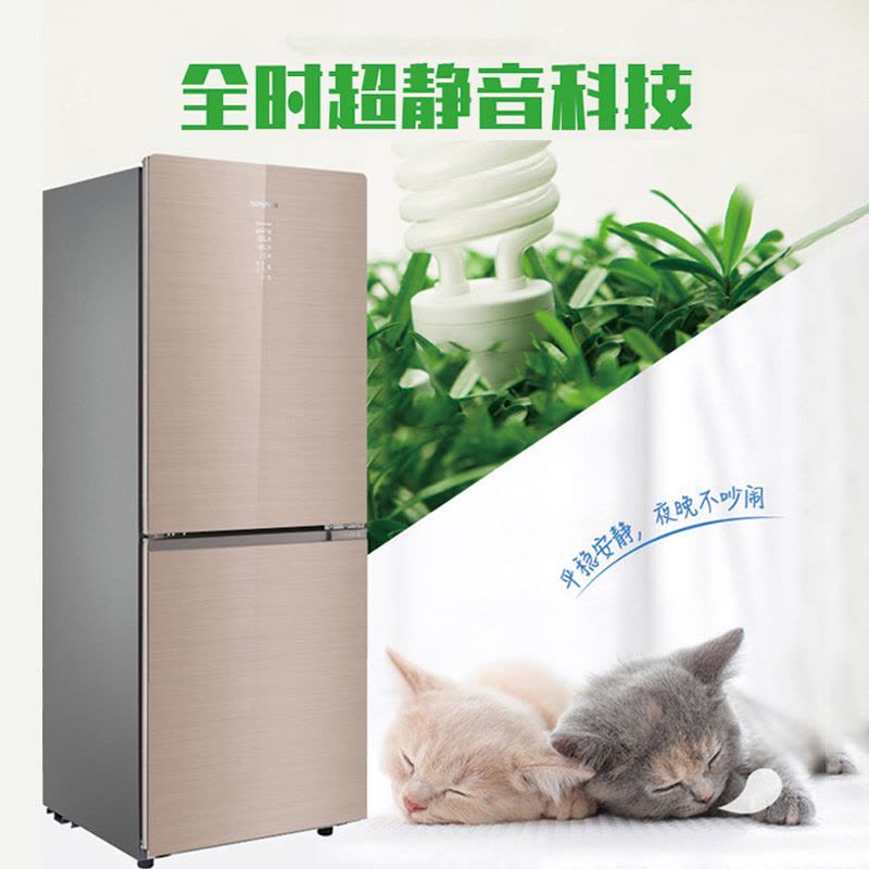 容声(Ronshen)338升双门 两门电冰箱 变频家用节能彩晶玻璃杀菌 一级能效BCD-338WKR1NPG图片