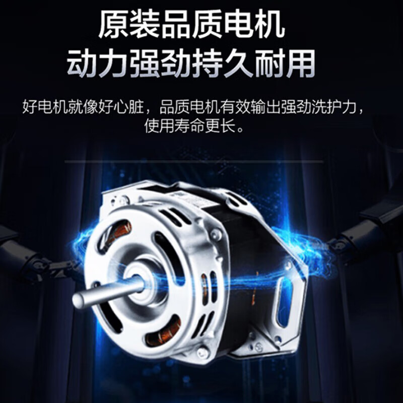海尔(Haier)12公斤波轮洗衣机 幂动力防缠绕 全自动家用大容量安全童锁 操作简单智能预约桶自洁超净洗+羊毛洗