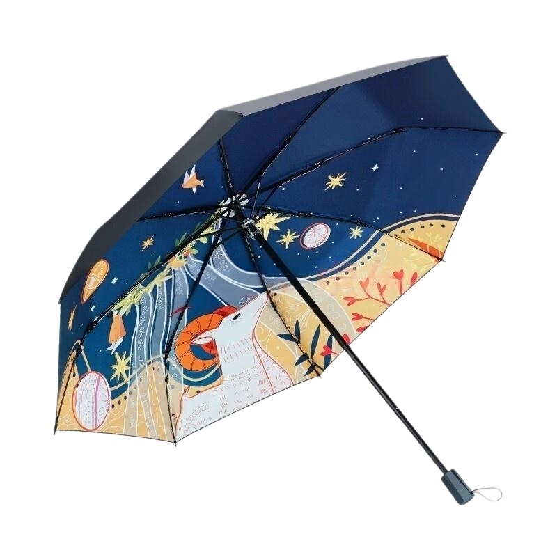 红叶三折仰望星空2626