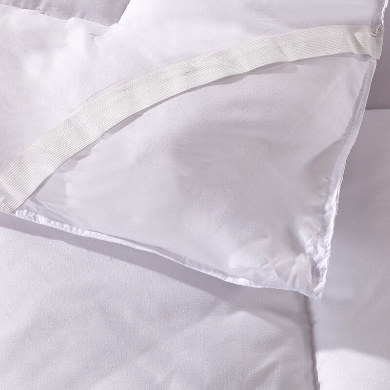 汉司家纺 HANSI-27 90*200cm 床垫(计价单位:件) 纯白色高清大图