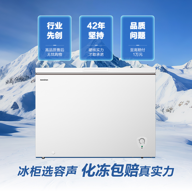 容声(Ronshen)300升家用商用卧式大冷冻柜冷藏冷冻转换大容量 一级能效 国补(珍珠白)BD/BC-300ZMSM高清大图