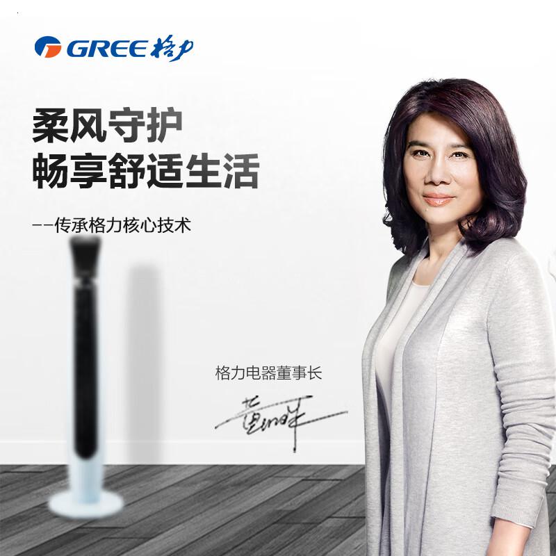 格力(GREE)FL-09X61BH电风扇单位:台高清大图