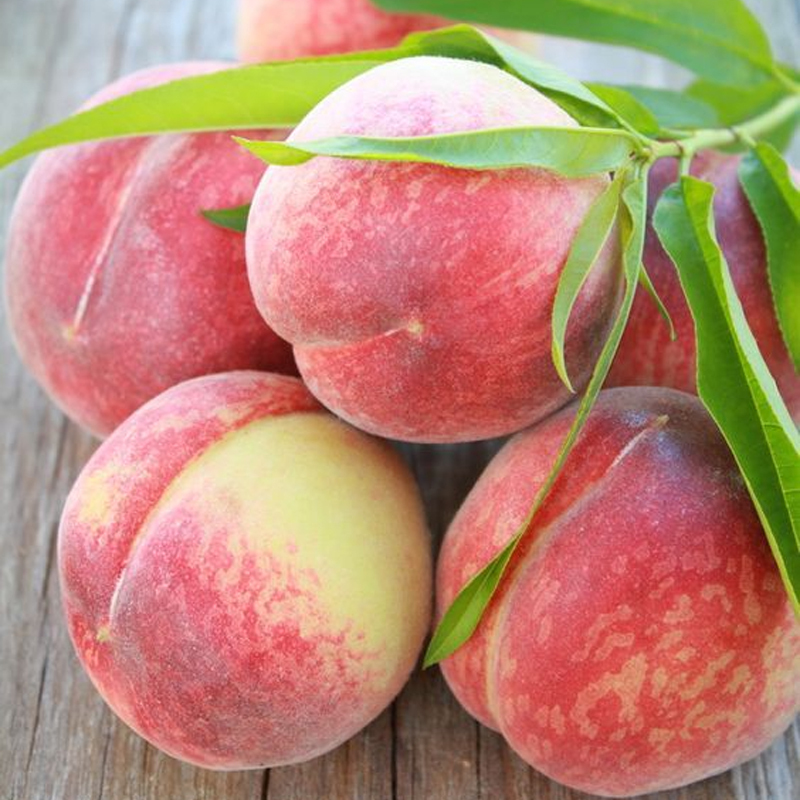 命北京平谷大桃12个装大果单果56两礼盒大桃子水蜜桃新鲜水果