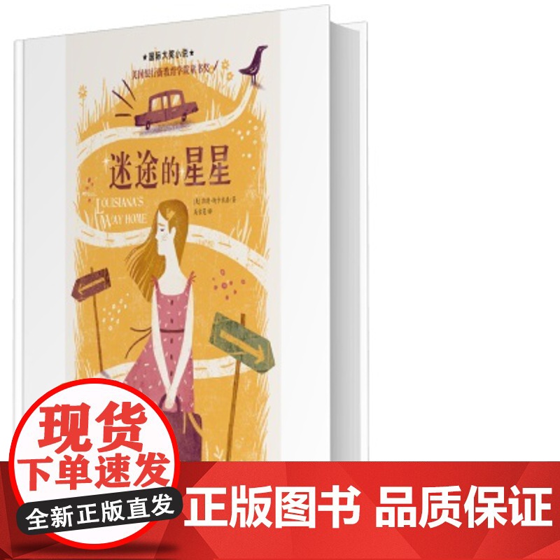 迷途的星星 大奖小说 经典儿童文学童书奖 2022广东读一本好书暑假阅读 小学生三四五六年级课外书新蕾出版社正版高清大图