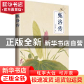 甄洛传