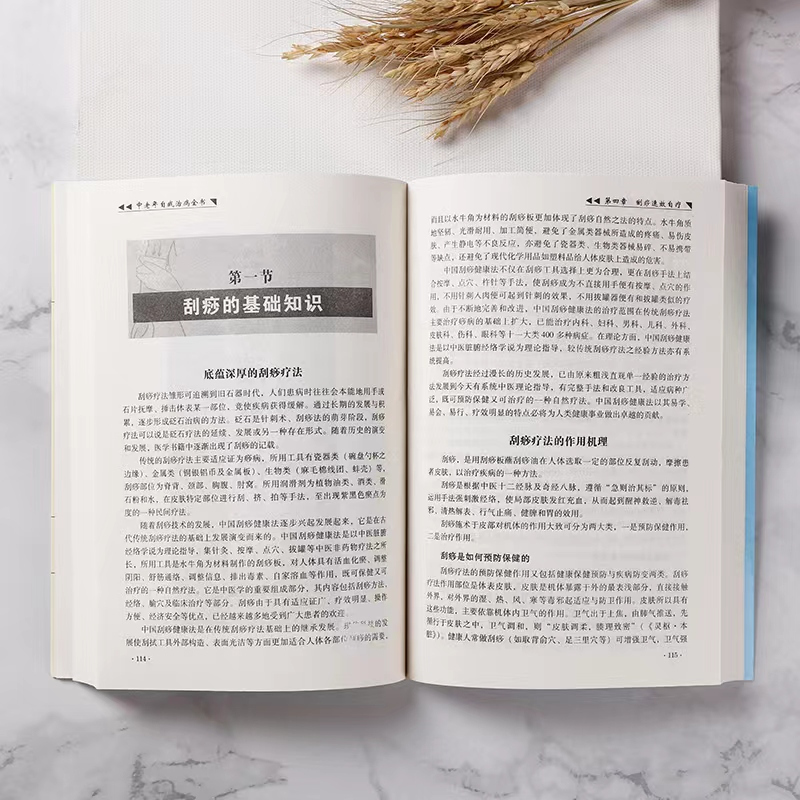 [正版]养生大系 中老年自我治病全书家庭实用健康保健中医养生百科全书中老年常见病治疗自我按摩刮痧药膳食疗实用居家养生法书