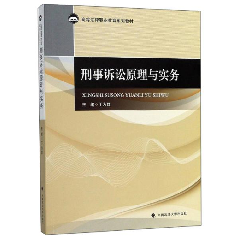正版新书】刑事诉讼原理与实务丁为群9787562092117