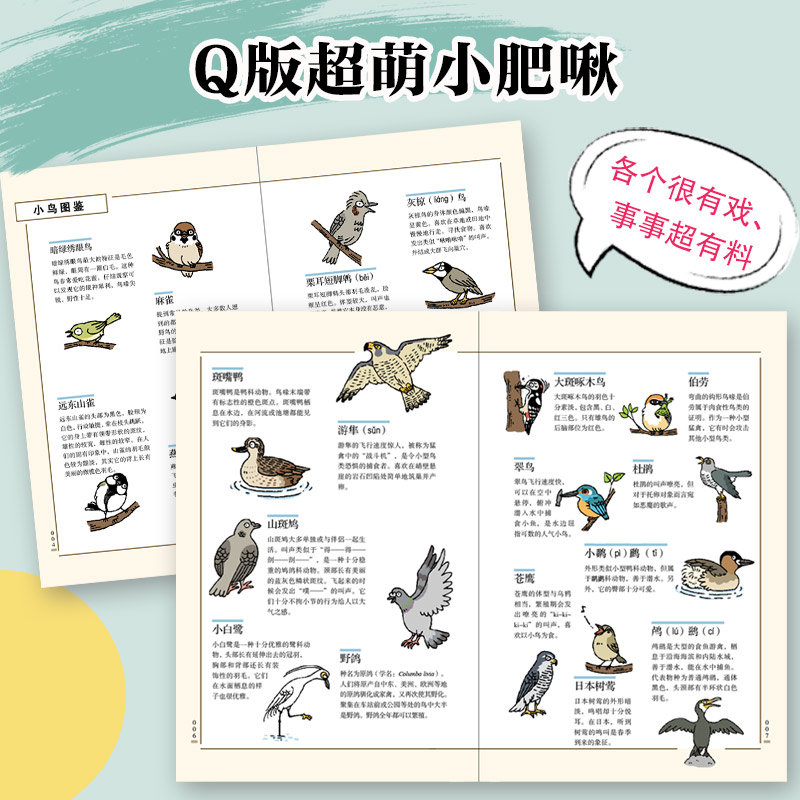 [正版]小鸟二三事 揭秘83种鸟类的行为特征 鸟类图鉴书 鸟类观察手册科普读物鸟类自然科学高清大图