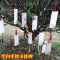 创意空白自制书签材料包古典中国风梅兰竹菊学生用手写手绘卡