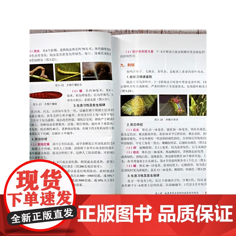 板栗、核桃病虫害快速鉴别与防治妙招 王天元 化学工业出版社 正版书籍高清大图