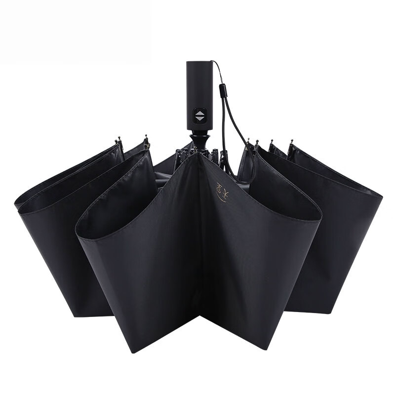 天堂伞十骨纯色商务晴雨伞 男士黑胶自动太阳伞38028E 可印字logo广告伞高清大图