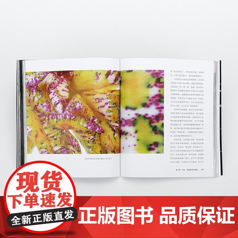 化学之美物质的视觉奇观 英菲利普鲍尔北京日报高清大图