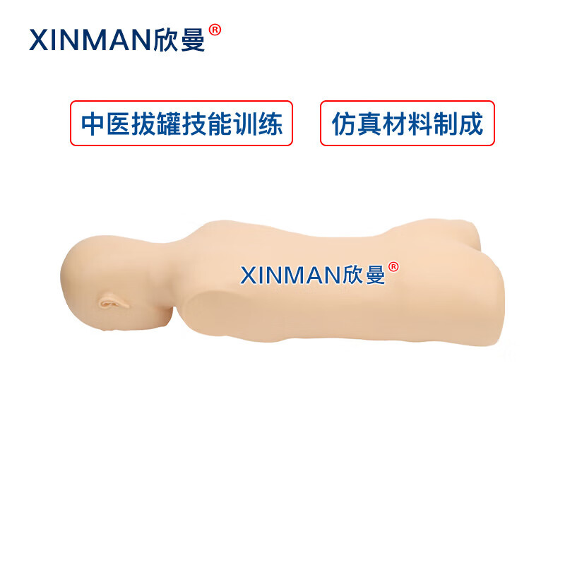 欣曼科教 中医拔罐训练模型 拔罐练习模拟人 中医教学人体模型高清大图