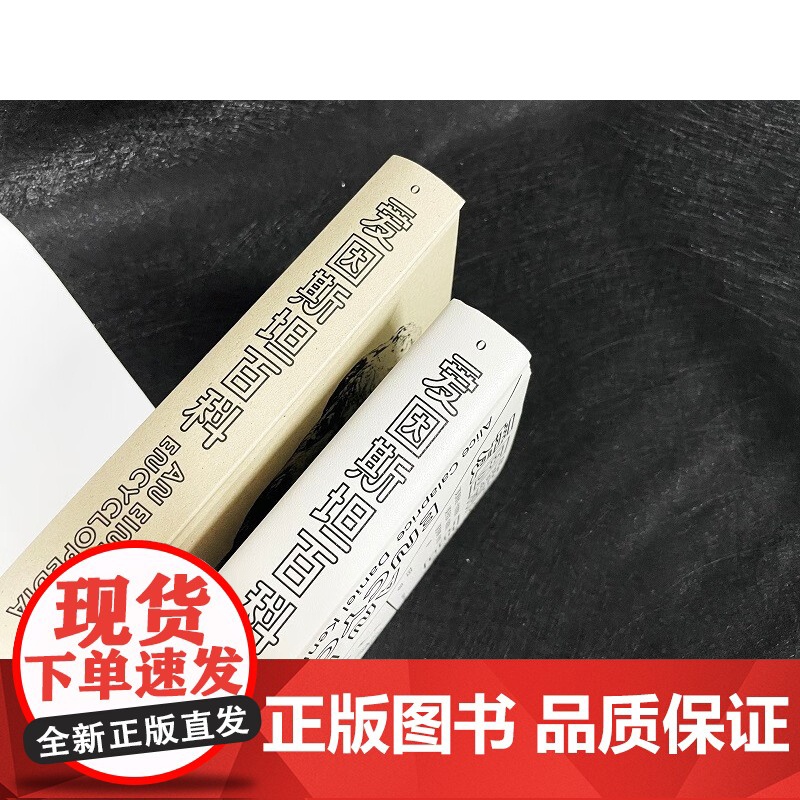 爱因斯坦百科 艾丽斯·卡拉普赖斯 等著 科普读物高清大图