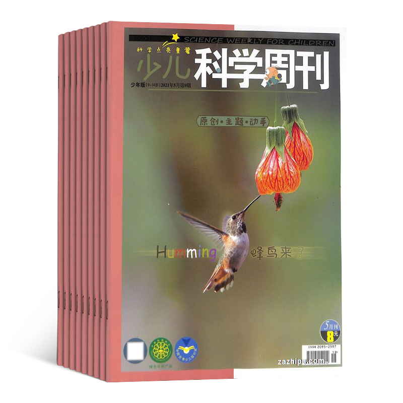 [正版]少儿科学周刊2024年7月起订1年12期杂志订阅少儿科普知识百科科普期刊图书书籍小学生课外兴趣阅读杂志铺全年订高清大图