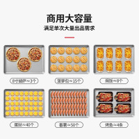 志高(CHIGO)商用烤箱一层二盘电烤箱商用大型烤炉蛋糕面包披萨烘炉焗炉烤箱 DL-12(380V)