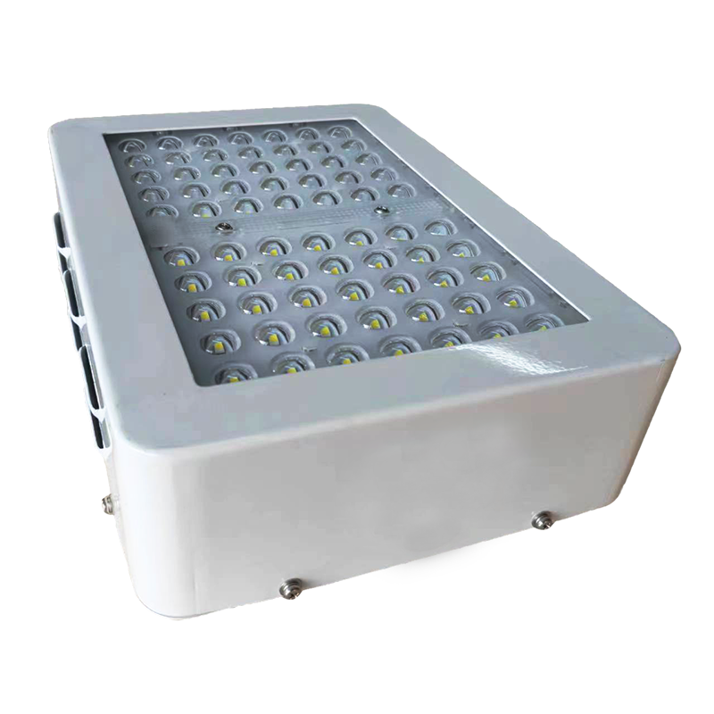 勇玖(LIGHTFOREVER) 雨棚灯 SZYJ9182 50W(套)高清大图