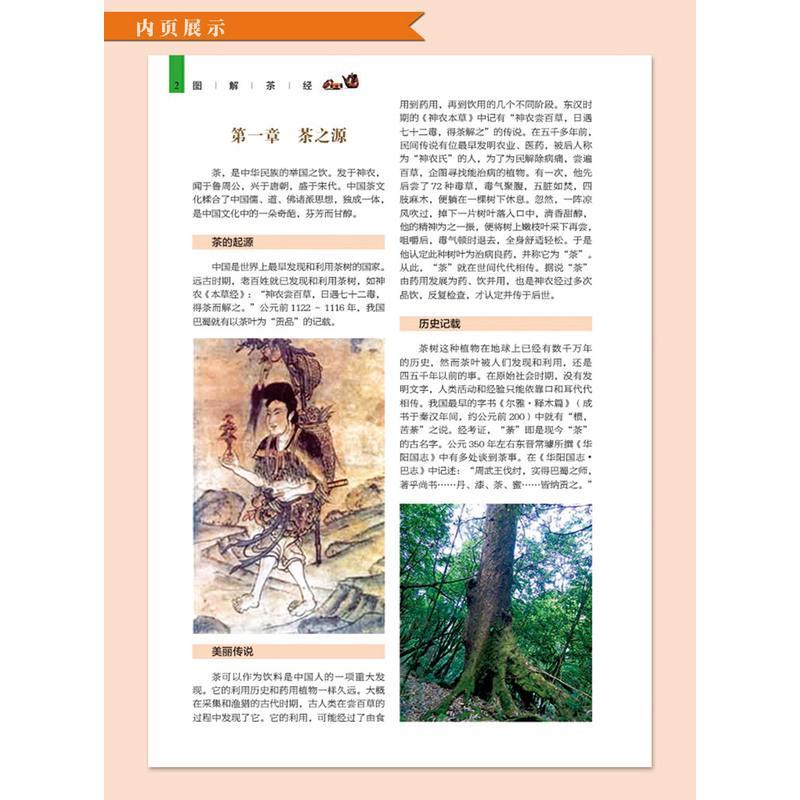 正版精装【铜版纸】图解茶经识茶鉴茶泡茶品茶 茶道入门到精通茶经全集茶经茶道茶艺中华茶道茶经茶文化茶源茶类名茶茶具茶类书籍